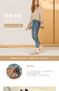 [B1436] 棕色系简约时尚风格-女鞋、女包等行业-手机模板