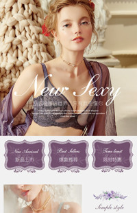 [B1591] 灰紫色简欧唯美风格-女士内衣行业-手淘模板